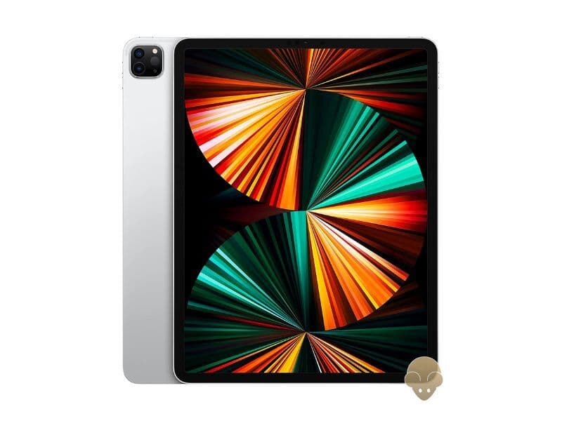 iPad Rental (Mini, 9.7", 10.2" & Pro)